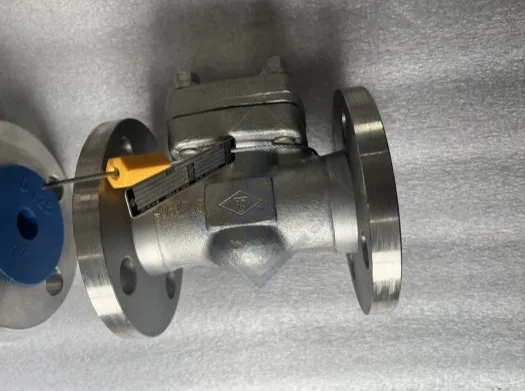 Swing Check Valve